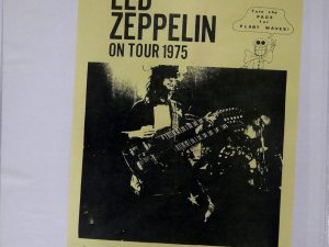 LED ZEPPELIN // PLANT WAVES 2LP