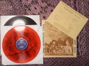 LED ZEPPELIN // LIVE ON BLUEBERRY HILL 2LP CV